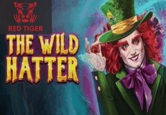 The Wild Hatter